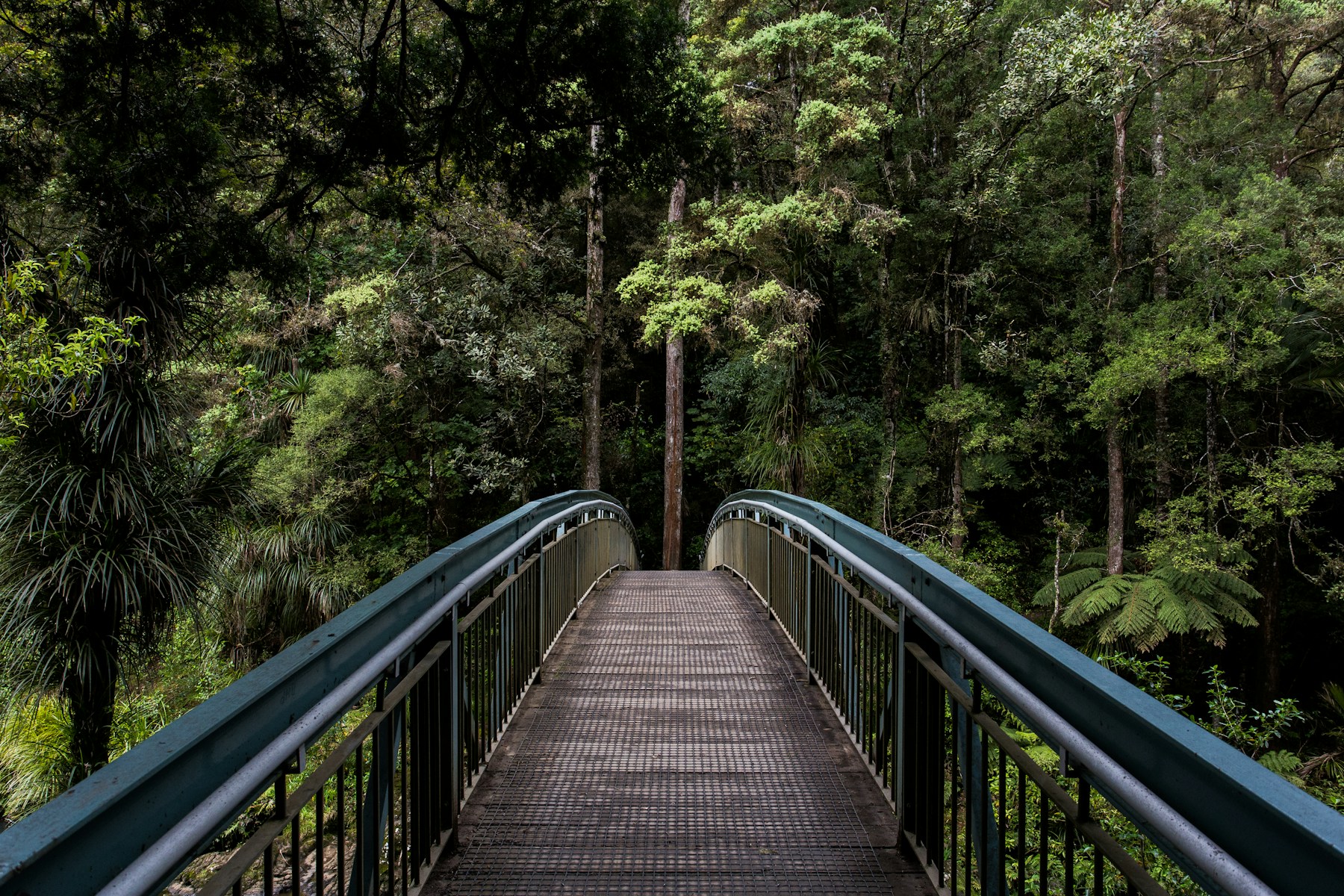 Beyond Recovery — illustrative photograph