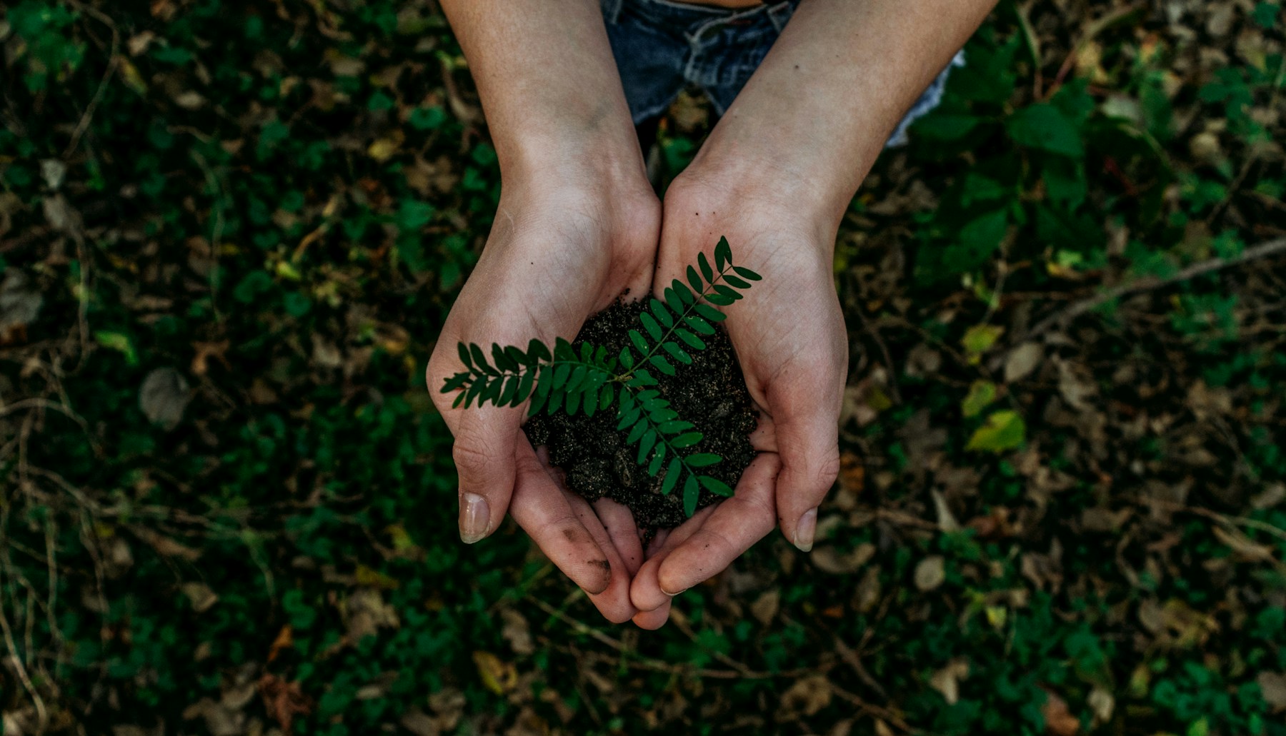 Questions and accountability — illustrative photograph